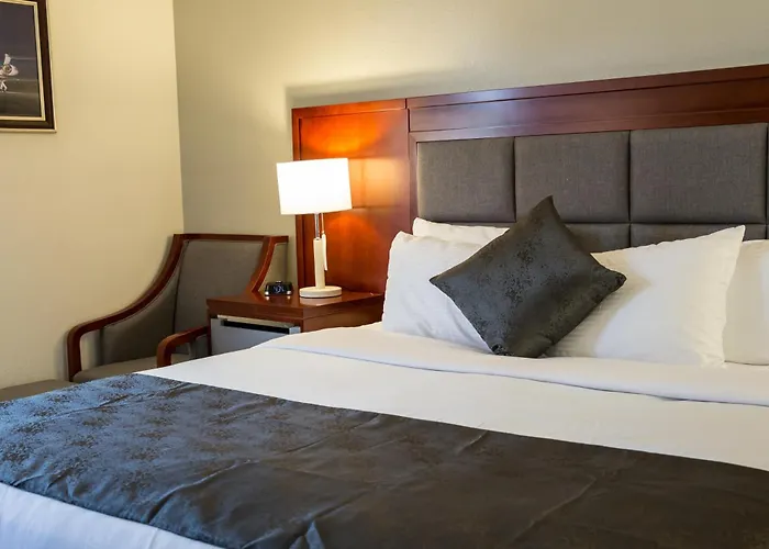 Ramada Plaza By Wyndham Chicago North Shore Hotel Wheeling